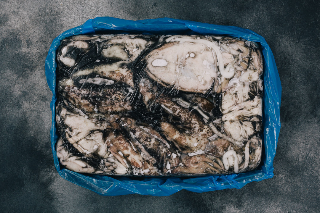 Block frozen natural cuttlefish
